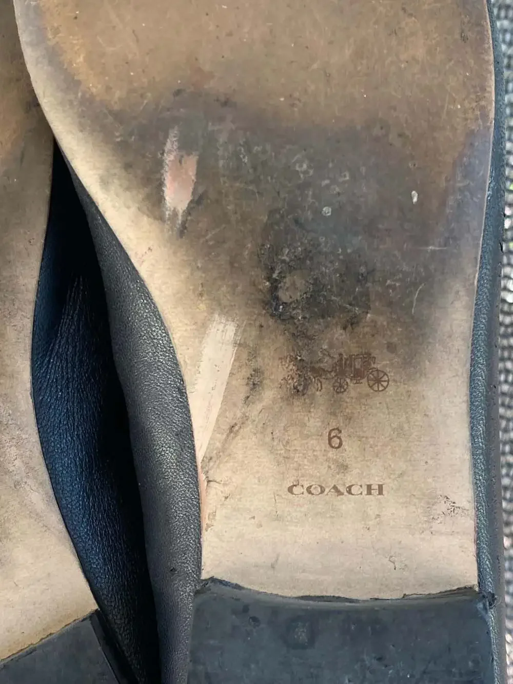 Coach Haley Leather Loafers, Black Grained Leather - Picture 6 of 6